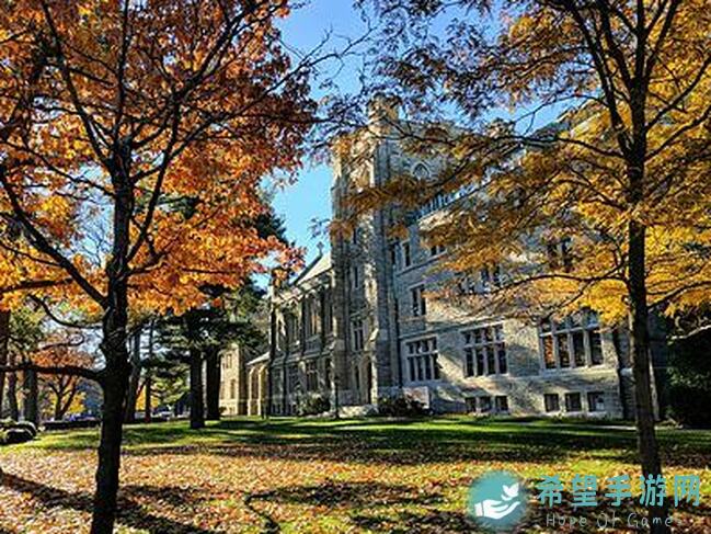 闭眼秒懂三国战纪攻略，孙鲁班炸街搭配全解析，轻松战力提升！