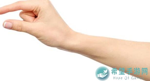 手把手教你揭秘！王者荣耀新英雄元流之子全形态大盘点，实战攻略全收录！