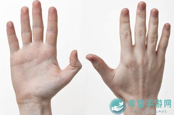 手残党必看！星光创造营新手攻略，人气不到S的练习生出道秘籍大揭秘！