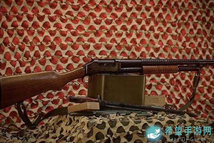 枪火重生新手必懂：轻松通关精英雪山的全攻略