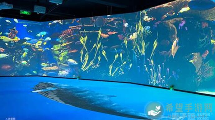 奇趣博物馆水族馆海洋馆秒懂攻略：带你解锁隐藏海洋生物!