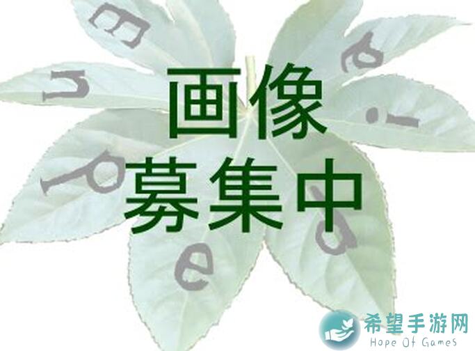 三国志幻想大陆新善灵解析！漾漾花影戏狸奴，玩家攻略教你轻松掌握芳菲猫灵！