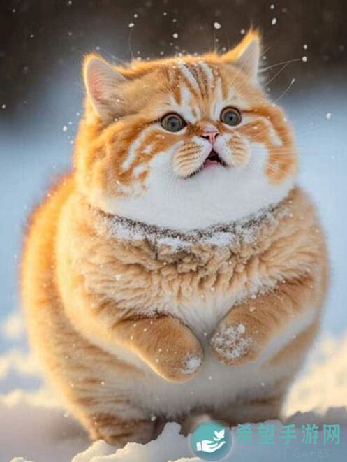 猫之城喵研社攻略组武装评测：速成巡航全秘籍