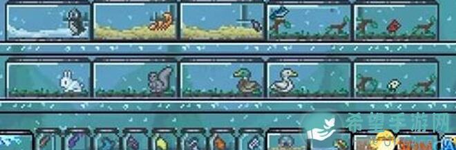 泰拉瑞亚动物学家怎么入住？全条件性价比解析！