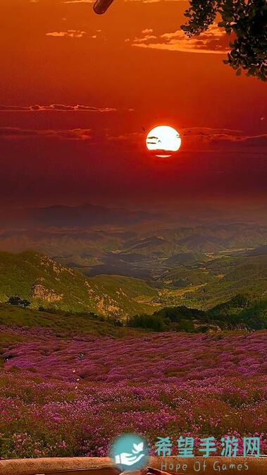 绝区零新手必看！盘点适合培养的4大角色，轻松上手，快速提升战力