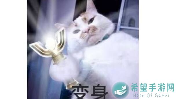 使魔计划五一活动阵容怎么选？最强搭配攻略大曝光！