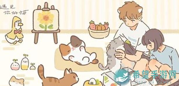 必玩！遇见你的猫82速通攻略，92与101工作室赞好评替全解析