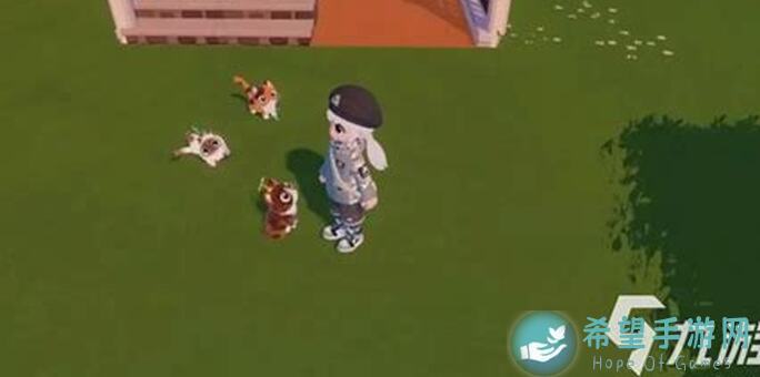 心动小镇特殊天气任务大解析？萤石溜溜橡木位置一键揭晓！❗️