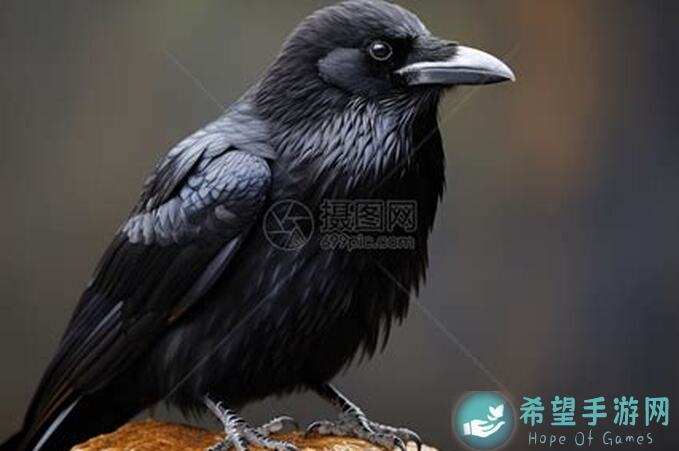 乌鸦之霜87版全职业攻略：圣冰滑板骑，你掌握这些技巧了吗？