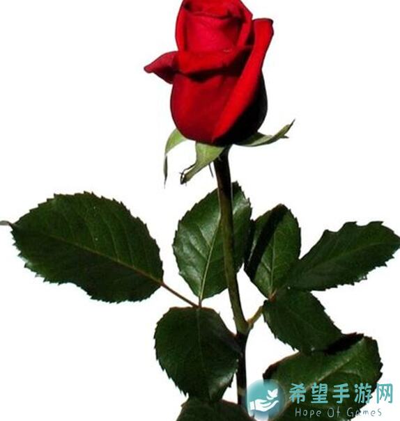 白荆回廊古剑奇谭日常周常任务刷取攻略，如何高效提升战力？亲测揭秘！