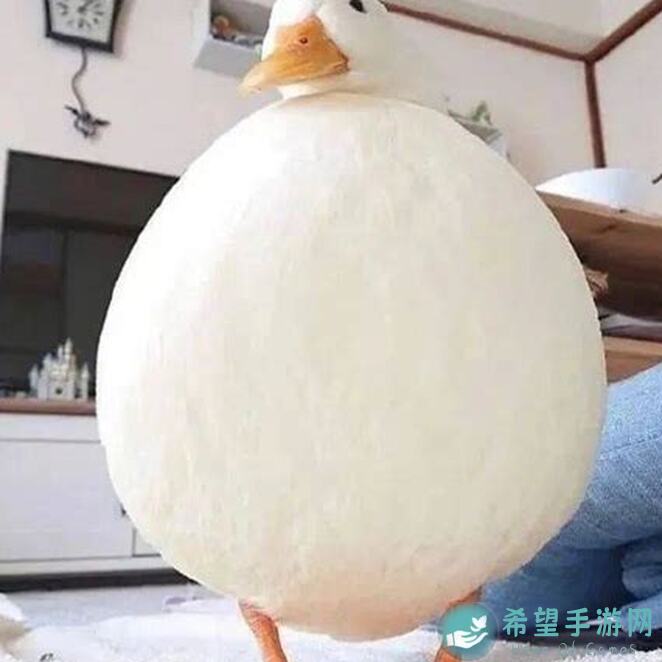 看完这波龙女新思路，值不值你学一手？