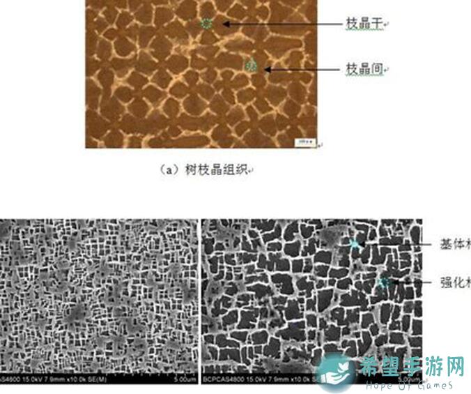 合金机兵重组，守护者属性揭秘，大佬收藏必备！
